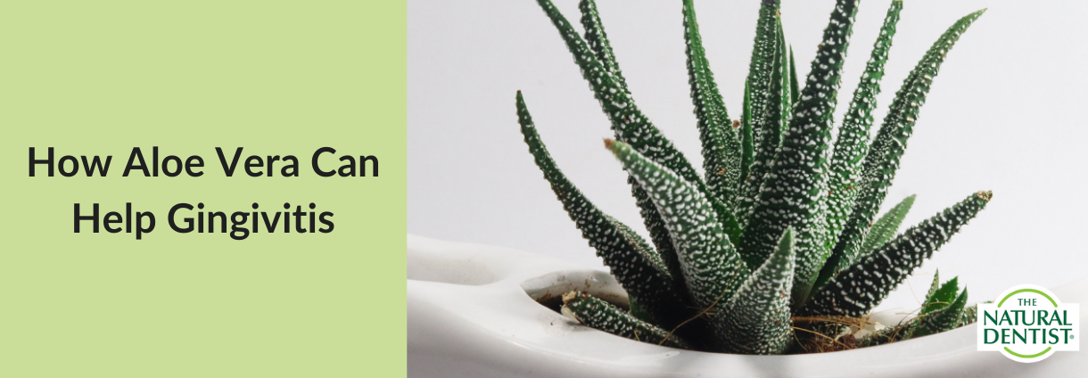 How Aloe Vera Can Help Gingivitis - Aloe Vera Plant